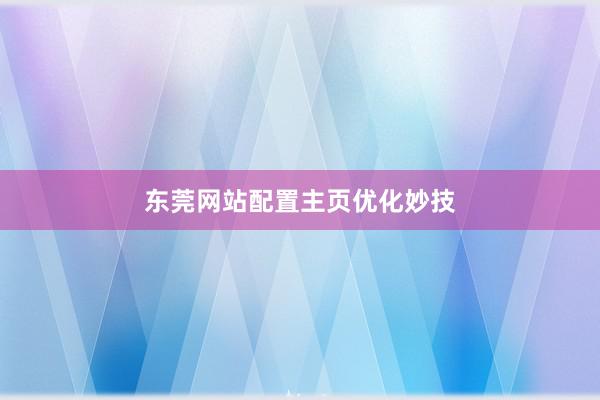 东莞网站配置主页优化妙技